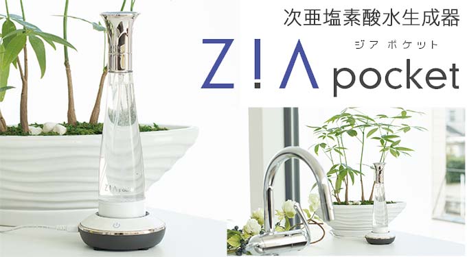  LXv[ f_ ZIA pocket
