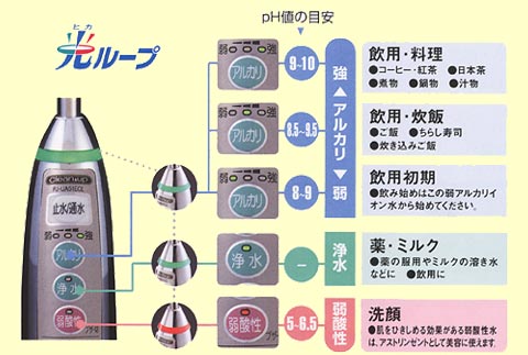 光ループ panel
