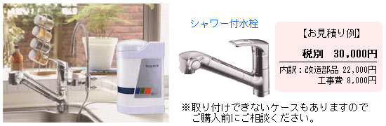 fANeBurI V[tt