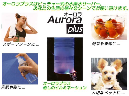 I[vX̓sb`[̐fT[o[