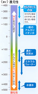 セルラキッスの還元性