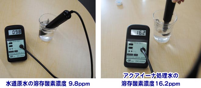 �A�N�A�C�[�i�n���_�f�Z�x����