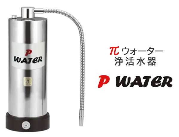 paiwater Pウォーター 厨房用浄水器