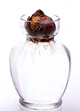 test-image