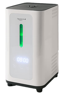 �C���^�[�N���X�e�B�[�k �V�F���X�����v�����[