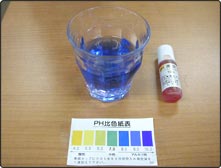 pH9.5