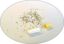 capsule