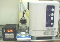 茋